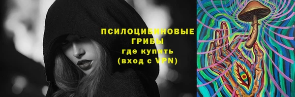 стаф Гусь-Хрустальный
