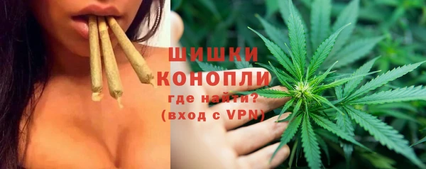 стаф Гусь-Хрустальный