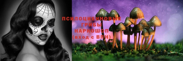 2c-b Гусев