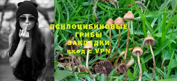 стаф Гусь-Хрустальный