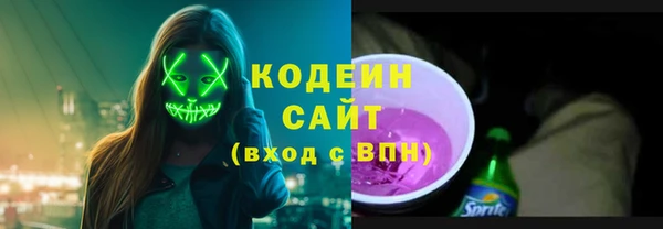 стаф Гусь-Хрустальный