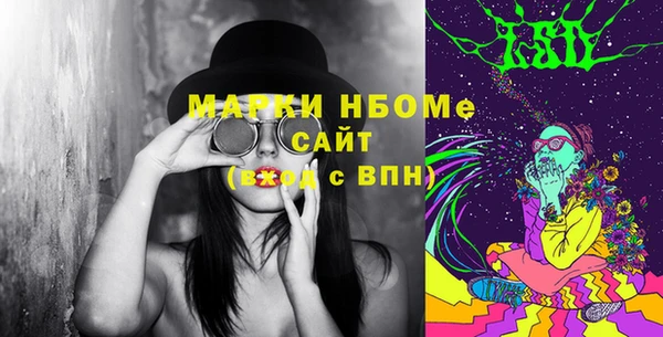 стаф Гусь-Хрустальный