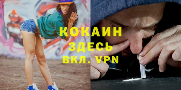 стаф Гусь-Хрустальный