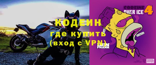 2c-b Гусев