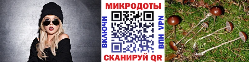 Псилоцибиновые грибы Magic Shrooms  MEGA ONION  Жиздра  наркотики 